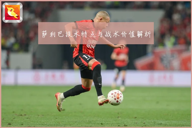 萨利巴技术特点与战术价值解析