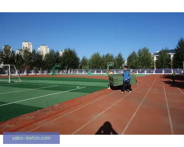 亚博体育域名解析：如何选择可靠的体育娱乐平台并保障账户安全